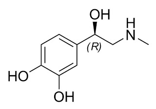 800px-Adrenaline chemical structure
